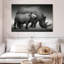 Rhinocéros d'Etosha Park-107706972
