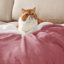 Bedsure Fitted Sheet Deep - Bed Sheets Extra Deep Pocket made of Soft Brushed Microfiber for Bed-1928524768-1928524777