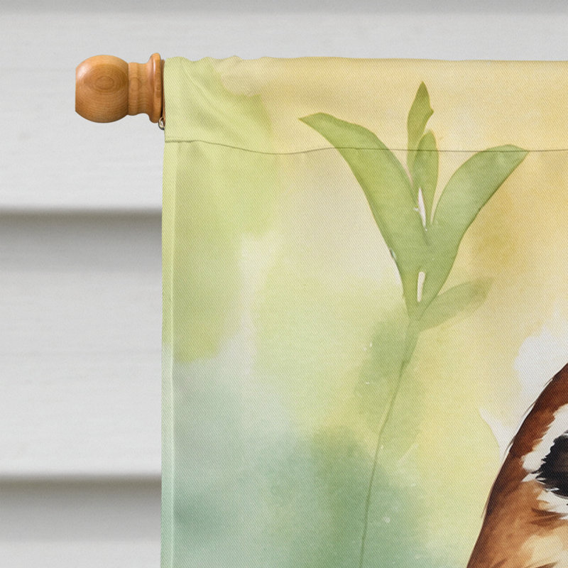 House Flag, South Carolina Wren