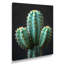 Cactus vert, désert noir, cactus floral, salon d'art mural-1094383125-1094383129