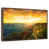 Floating Frame Walnut