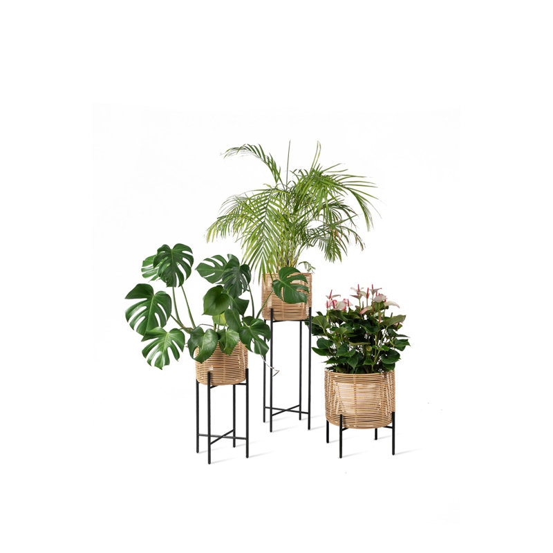 Vivi Plant Stand
