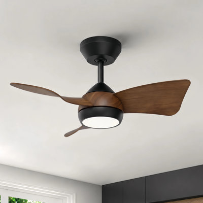 30" Small Ceiling Fan for 50-100sq ft Small Rooms - High Airflow Low Noise Reversible DC Motor - Modern Ceiling Fan with Light & Remote