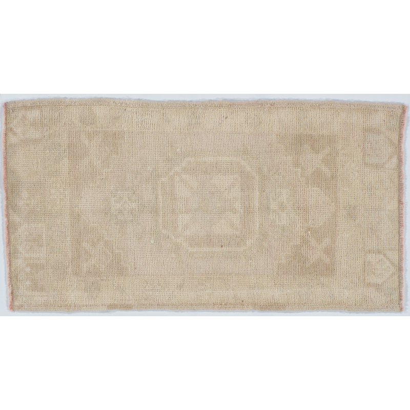 Wool Area Rug in Tan