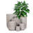 Corniche Pot Planter-416546861-416546860