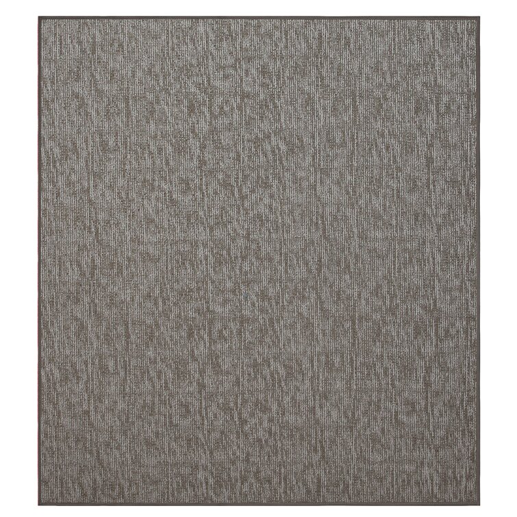 Area Rugs - Wayfair Canada