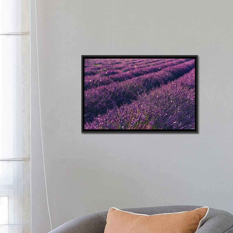 «Lavender Symphony I» par Stefan Hefele, reproduction de photo sur toile tendue, H 18 po x l 26 po x P 1,5 po, Pas de tapis