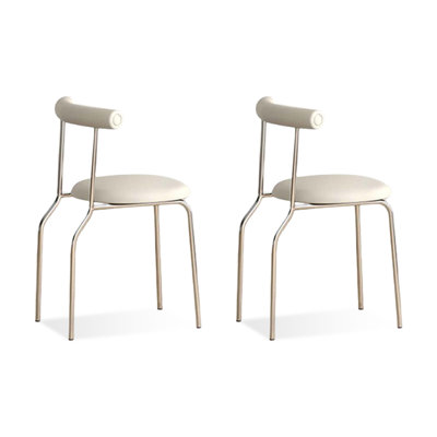 Beige Solid Back Stainless steel Side Chair(Set of 2)