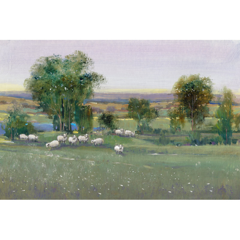Field of Sheep II by Timothy O' Toole - Painting Print, 81cm H x 122cm W, Wrapped Canvas