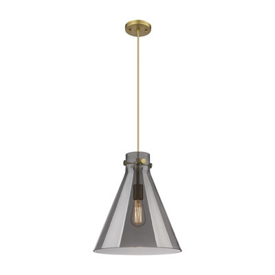 1 - Light Single Drop Pendant Pendant