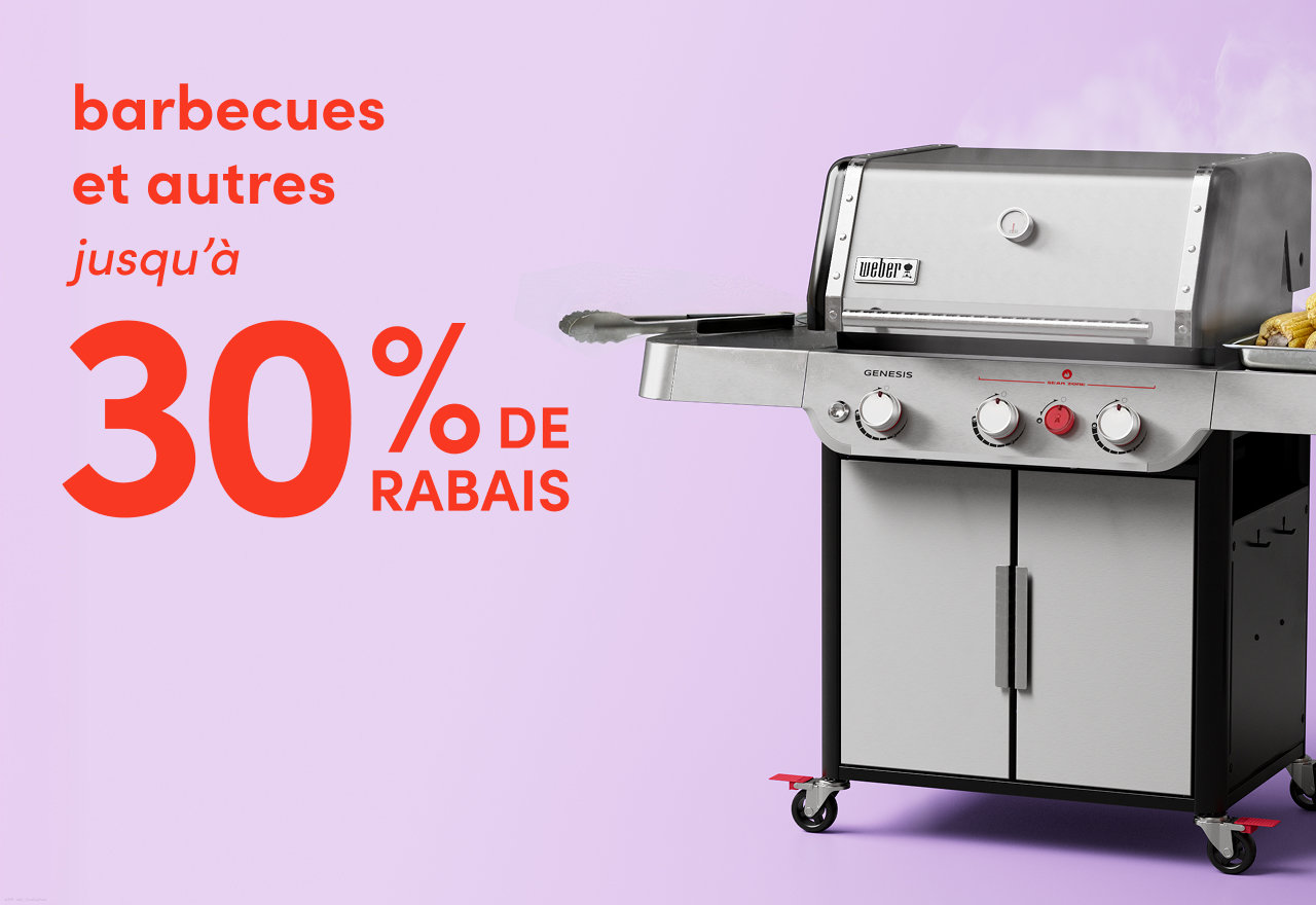 barbecues et autres en solde