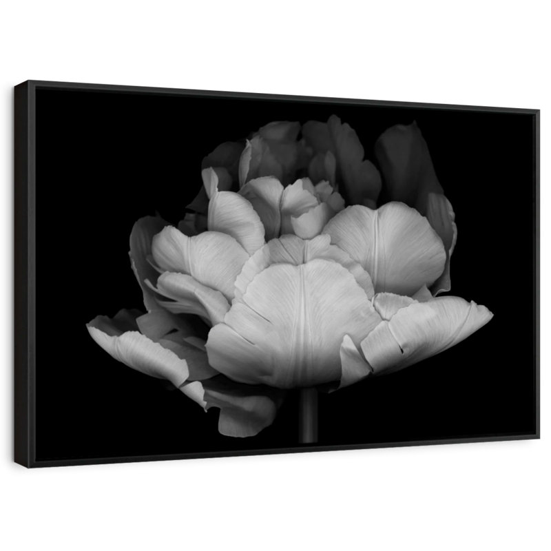 Impression sur toile de tulipes monochromes, H 29 po x l 43 po