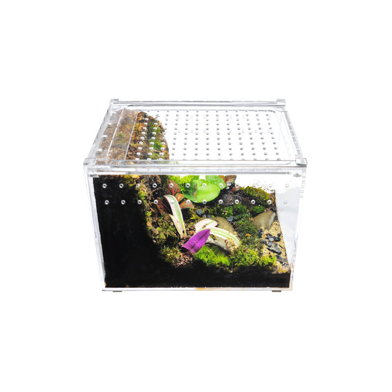 Acrylic Reptile Terrarium, 1 Gallon - 8"H x 6"W x 6"D