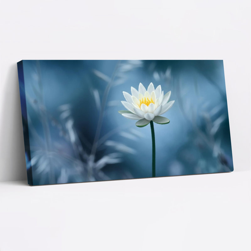 Ensemble de 1 tableau sur toile tendue représentant un nénuphar blanc (photographie de la nature), H 16 po x l 32 po