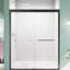 Cabine de douche coulissante double H 72 po, l 56 po à 60 po, verre trempé 1/4 po, noir mat, porte de dérivation de salle de bain imperméable, l 56 à 60 po x H 72 po, ajout élégant-120912315