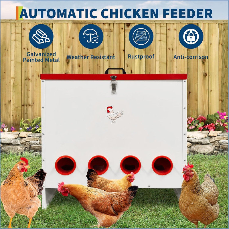 Feeder