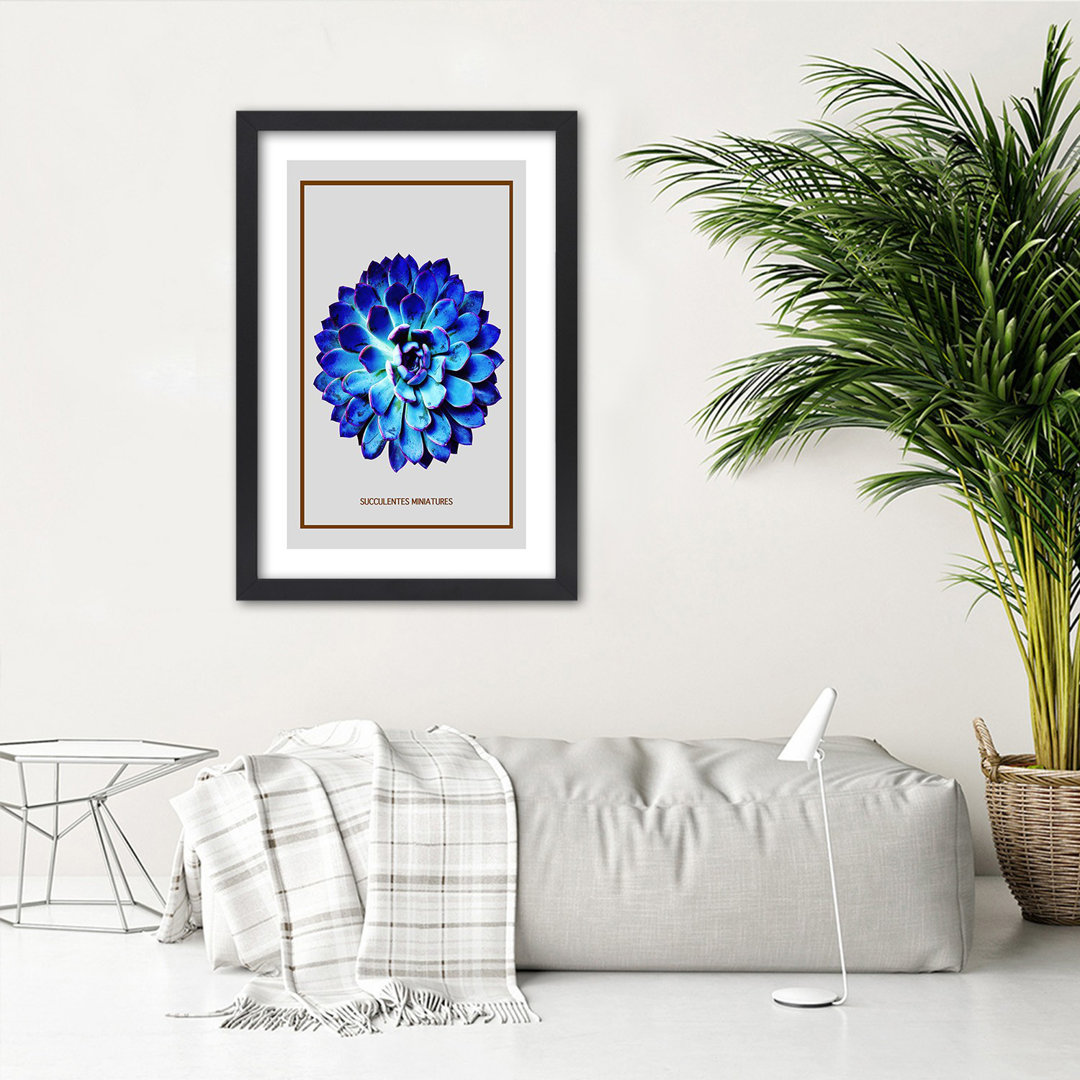 Gerahmtes Poster Blue Miniature Succulent