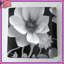 Couvre-lit floral noir-123423353