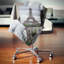 Housse et housse de coussin Designart «Grayscale Paris Eiffel Tower»-31035358-31035361
