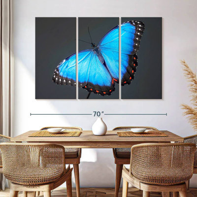Brampt Blue Morpho Butterfly