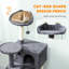 Cat Tree-119765485-119765484