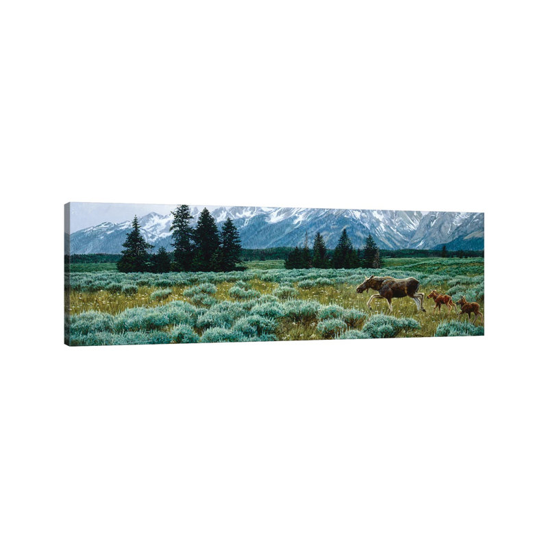 Moose III by Jan Martin Mcguire - Wrapped Canvas Gallery-Wrapped Canvas Giclée, 30.48 cm H x 91.44 cm W x 1.91 cm D