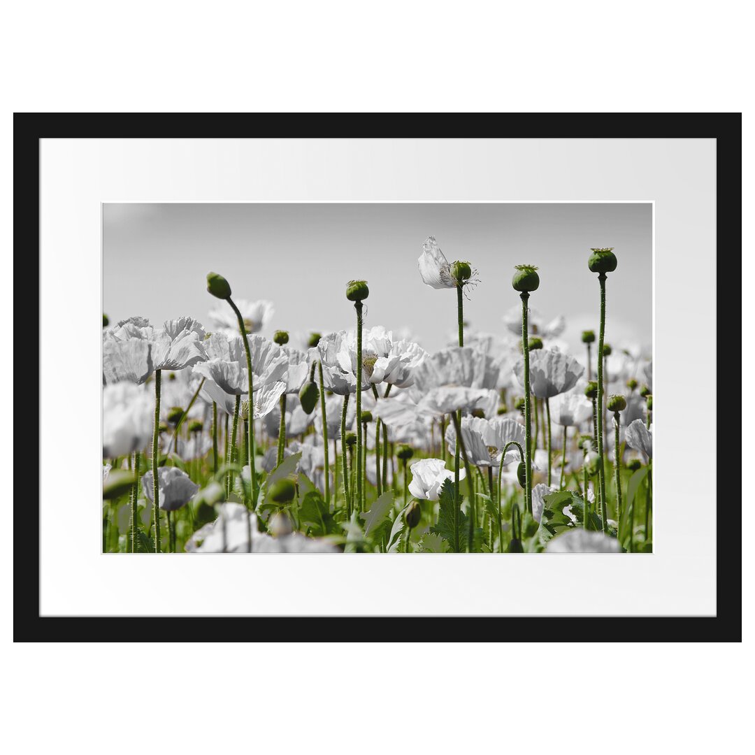 Gerahmtes Poster Blumenwiese Mohnblumen