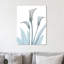 « serene calla lily 2 », reproduction d’impression sur toile tendue-23605307
