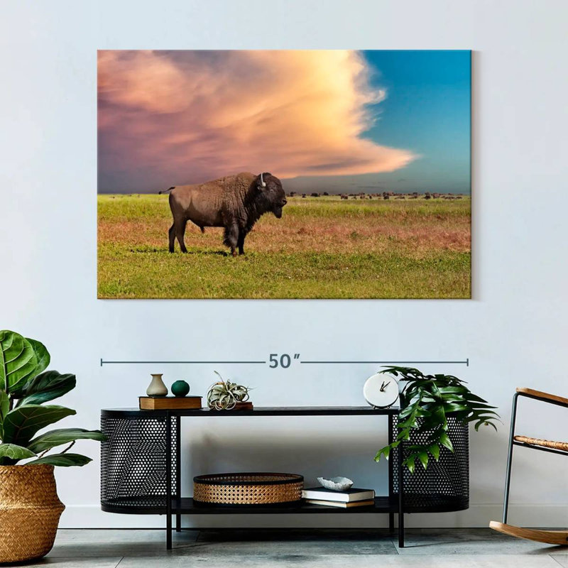 Brampt Badlands Bison, 34" H x 51" W