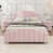 Rose est en rupture de stock