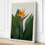 Bird of Paradise Bloom Botanical - Wrapped Canvas-166246945-166246946