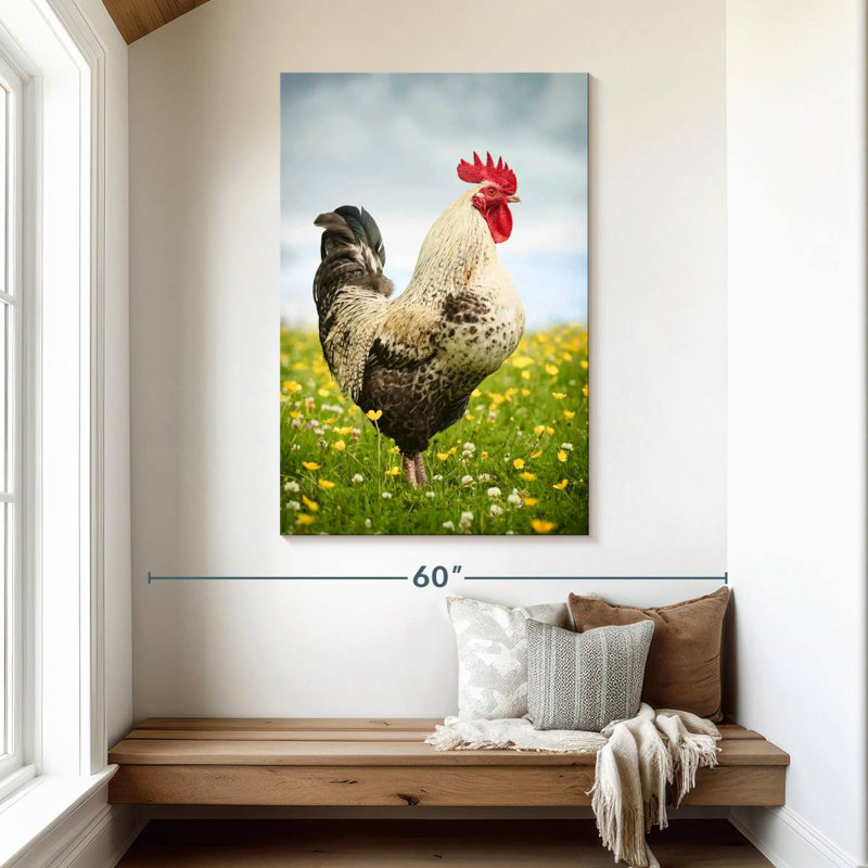 Coq anglais, H 48 po x l 32 po