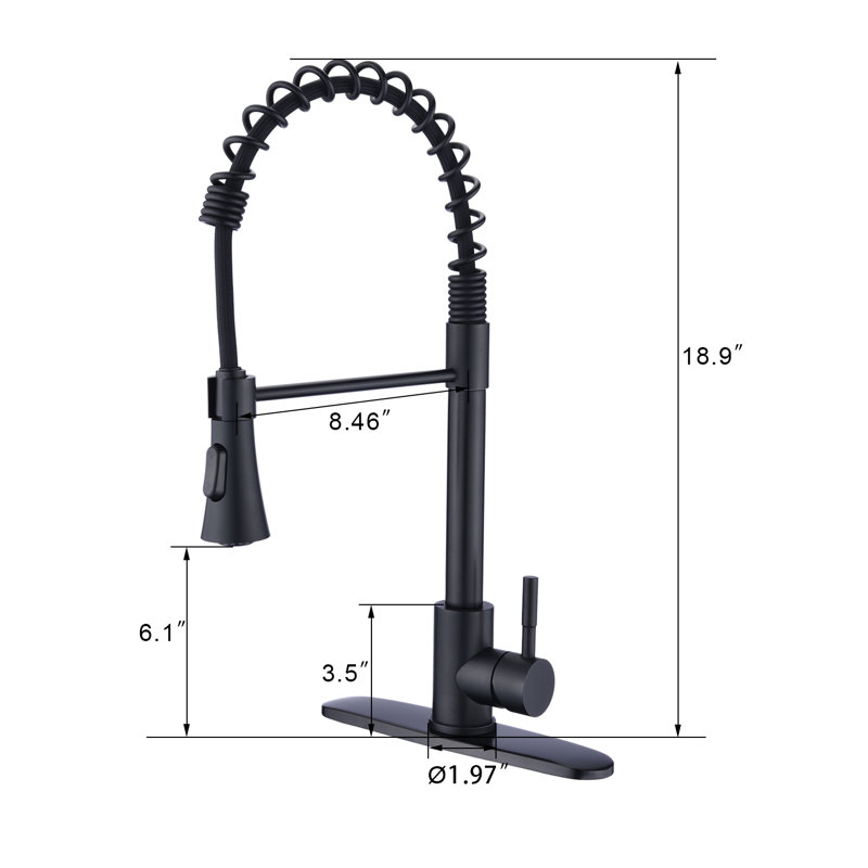 Robinet de cuisine à poignée simple avec accessoires