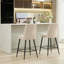 Ensemble de 2 chaises de bar réglables en fer avec pieds de fer réglables et comptoir de bar-999023662