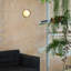 1 - Light Flush Mounted Sconce