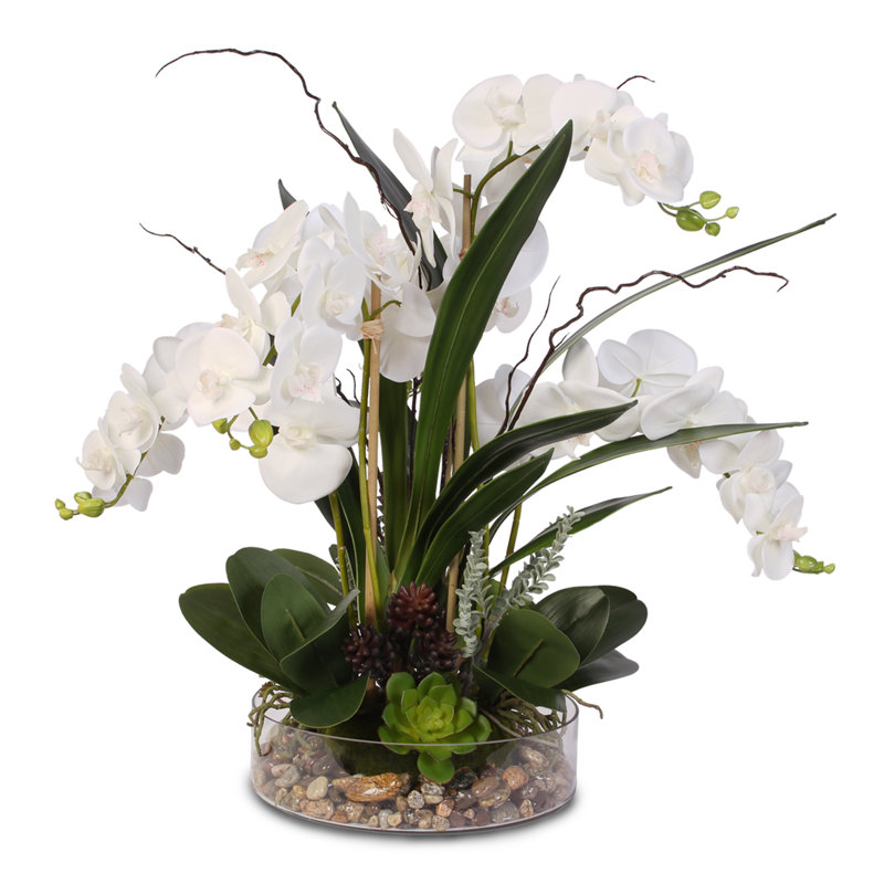 Real Touch Phalaenopsis Orchid with Succulents Floral Arrangement in Pot