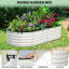 Raised Garden Bed-1908487631