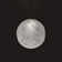 Cosmic 1 - Light LED Single Pendant