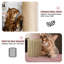 Tour pour chat Ezelle-1571508874
