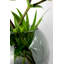 Dahntay Handmade Glass Table Vase-1805221704