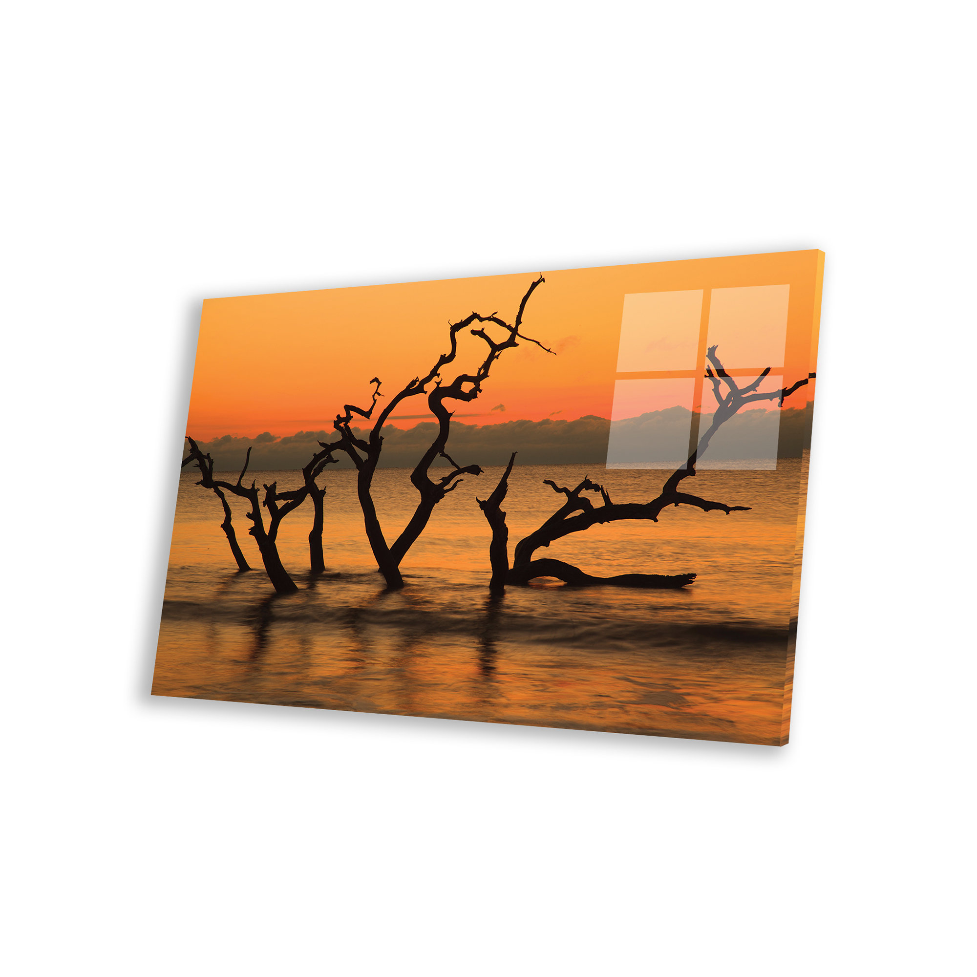 Dovecove USA, Jekyll Island, Georgia. Driftwood Beach At Sunrise On Plastic  / Acrylic by Joanne Wells Print | Wayfair, image size:2000x2000