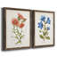 «Botanical I», ensemble de 2 reproductions d'art-271774480-271774482-271774441