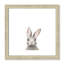 Art encadré en lapins forestières-48163433-48169568