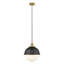 Luminaire suspendu simple à 1 lumière Laklyn-957710502-961554424-957710498