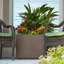 Milan Polymer Planter Box-1936952347