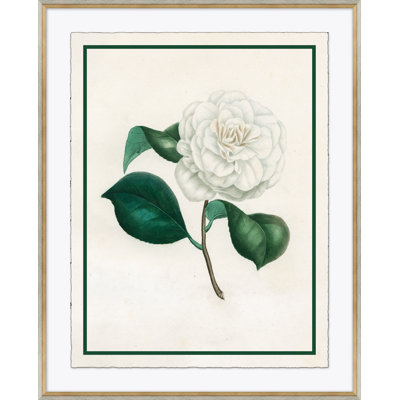 Flora I Giclee Print