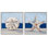 «Sea Life Starfish Seashell», peinture, plage, animal marin par Ethan Harper - ensemble de 2 peintures
