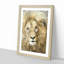 The Face of a Lion - Picture Frame Painting Print-56738870-56738867