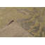 Floral Area Rug