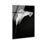 Calla Lily II by Oliver Gal-1397512857-1397512869